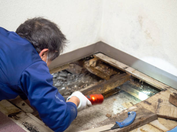 Best Bathroom Mold Remediation in Pine Ridge, SD