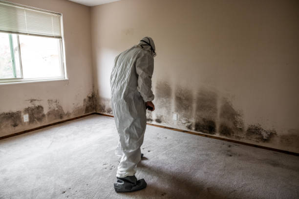 Best Industrial Mold Remediation in Pine Ridge, SD